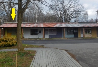 Żary